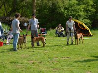 Zuchtgruppe v.d.Feuerpfoten Andrea Magdziarz (2)